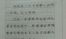 三年级书信作文：给圣诞老人的一封信_300字