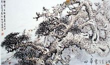 茅盾青少年文学院海选优秀作品：松树