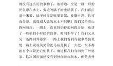 三年级书信作文：给小狗的一封信_450字