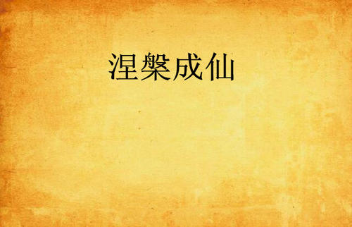 Nirvana_700字
