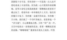 关于春节见闻的作文：春节见闻_750字