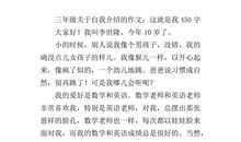 消失长度的夏天_450字