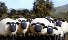 茅盾青少年文学院海选优秀作品：小羊伯纳斯冒险记