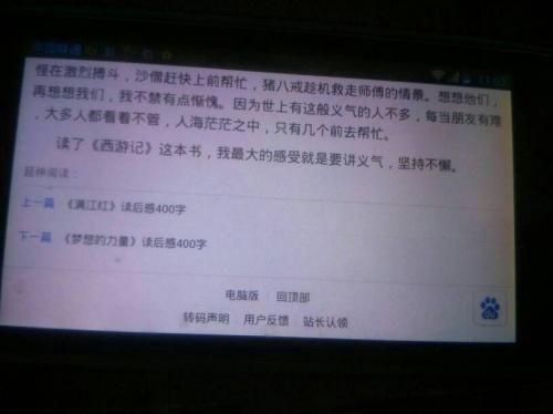 片段说明_500个字