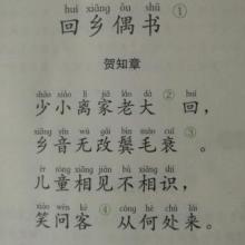 重写何志章的《重返故乡》 _350字
