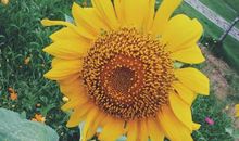 [PK赛]关于夏天的作文：总有属于我的夏天_700字