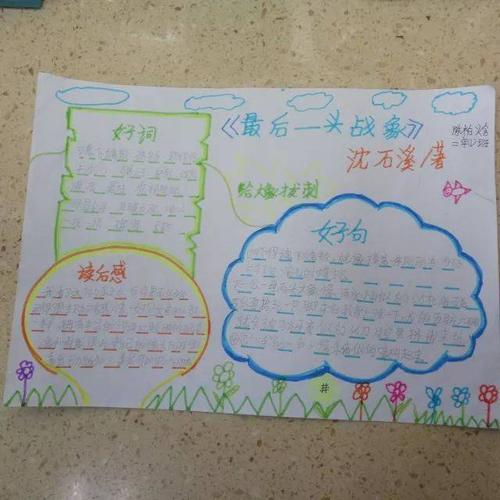 “最后的大象”被重写_550个单词