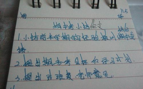 烟花不能切成_500字