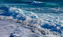 一朵美丽的浪花_700字