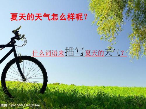 [PK赛]夏天的构图：美丽的summer_1000字