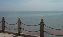 等待是一种美丽，幸福的诠释_900字