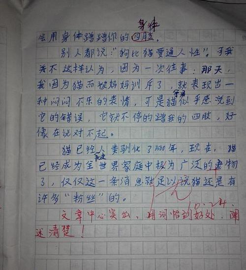 看着我们！ _600字