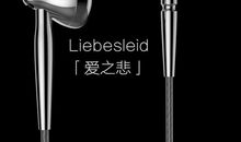 那一夜的爱之悲_1000字