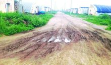 泥泞的道路_1000字