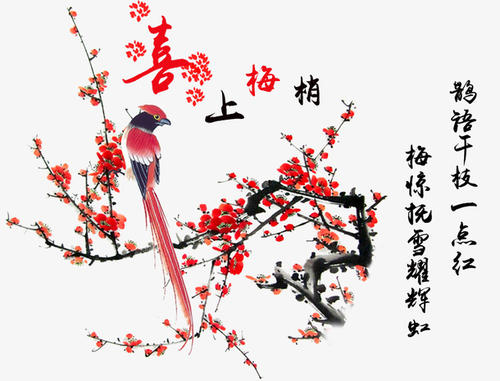 关于梅花_300字的一段美丽