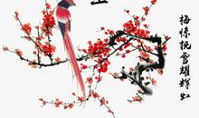 关于梅的优美段落_300字