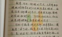 读书笔记：随笔城市_800字