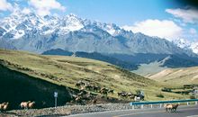 关于“天山景物”的好段集锦_3000字