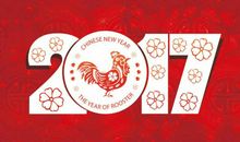 关于除夕夜的作文：除夕_750字