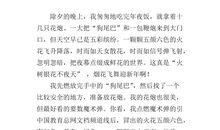 关于除夕夜的作文：除夕的烟花_350字