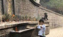 #微作文#寻根探秘的炎帝陵之旅_200字