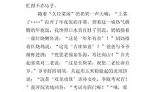 关于除夕夜的作文：除夕_450字