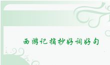 关于海潮的好句精选_300字