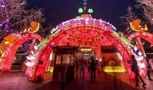 过大年，赏花灯_600字