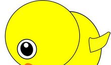 可爱的小鸡_500字