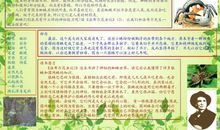 读书笔记：《在学海中游泳》_550字