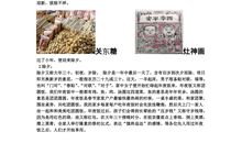 春节习俗英作文