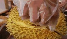 第一次吃榴莲_700字