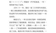 春节见闻英语作文