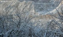 关于春雪的作文：春雪_450字