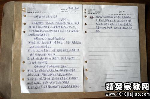 阅读笔记：“论文混淆” _700字