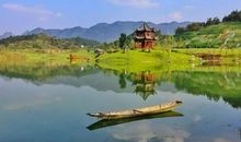 马和鸭的大比赛_700字