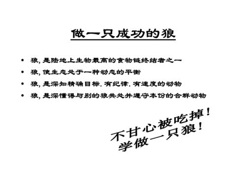 理想点亮生活_1000字