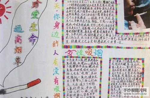 关于世界无烟日的构成：无烟日700字