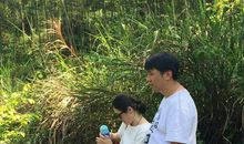 读书需要一颗安静的心_600字