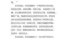 另眼看压岁钱_500字