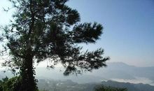 圣灯山探险游_900字