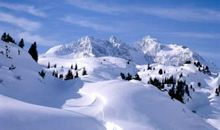 关于雪的作文：雪，冬天的小使者_550字