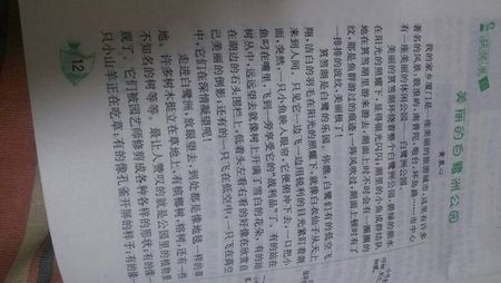 关于雪的构图：像snow_650个单词的生活
