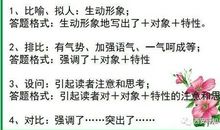 小升初语文：写景作文指导及阅读答题技巧(2)