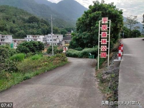 马鸭比赛_250字