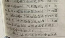 关于环保的作文：环保专家_300字