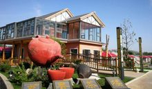 建设生态山东，描绘美丽齐鲁_1000字