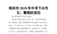 2018年湖北荆州中考作文范文五：攀爬的姿态（5）_800字