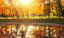 好段好句素材：描写秋日阳光的优美段落_1500字