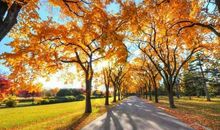 好段好句素材：描写秋天颜色的优美段落_1200字